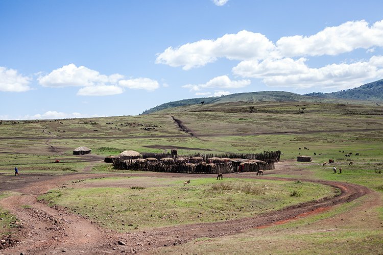 TZA ARU Ngorongoro 2016DEC23 046